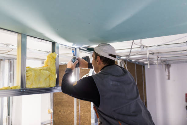 Best Insulation Maintenance and Repair in Burbank, IL