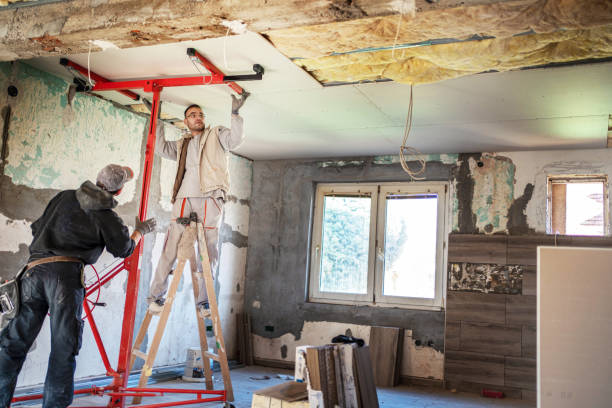 Best Insulation Maintenance and Repair in Burbank, IL