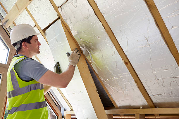 Best Insulation Installation Services in Burbank, IL