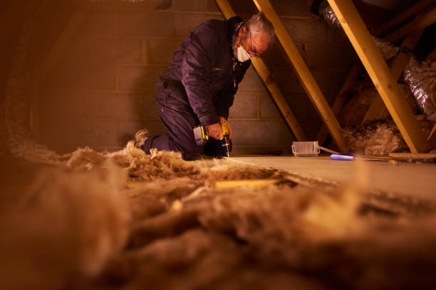 Best Insulation Installation Services in Burbank, IL